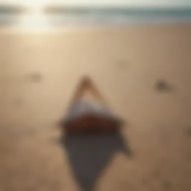 Outdoor scene of a beach where shark tooth hunting takes place