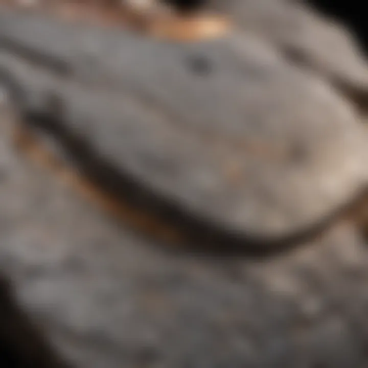 Close-up of a rock slab after being cut by a saw