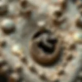 Close-up of a dinosaur fossil necklace showcasing intricate details