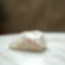 Elegant quartz surface with a spotless finish