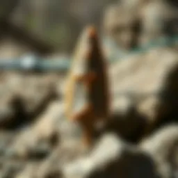 Exploring Arrowheads: A Comprehensive Guide Introduction