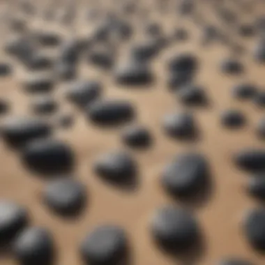 Close-up view of black stones on a sandy beach, highlighting their unique textures.