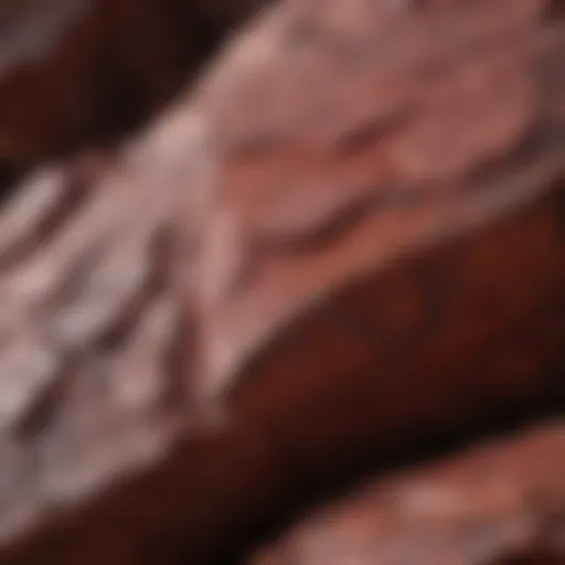 Close-up view showcasing the rich texture of dark red stone.