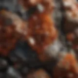 A close-up view of igneous rock showing its crystalline texture