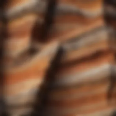 Sedimentary rock layers illustrating the process of formation
