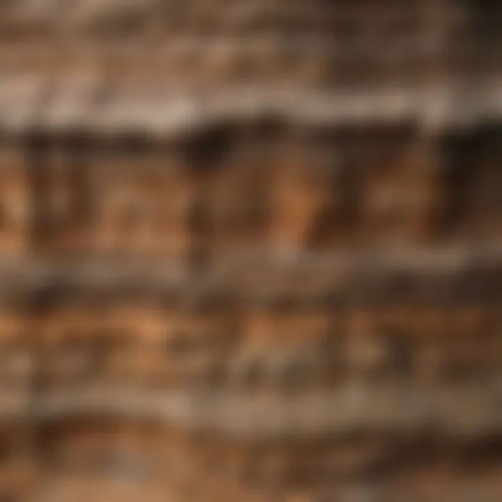Layers of sedimentary rock illustrating the process of sedimentation