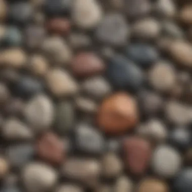 An assortment of various rocks laid out for identification