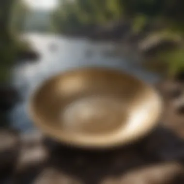 An intricately designed gold pan resting on a riverbank