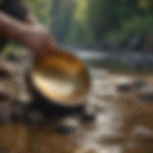 Scenic riverbank ideal for gold panning