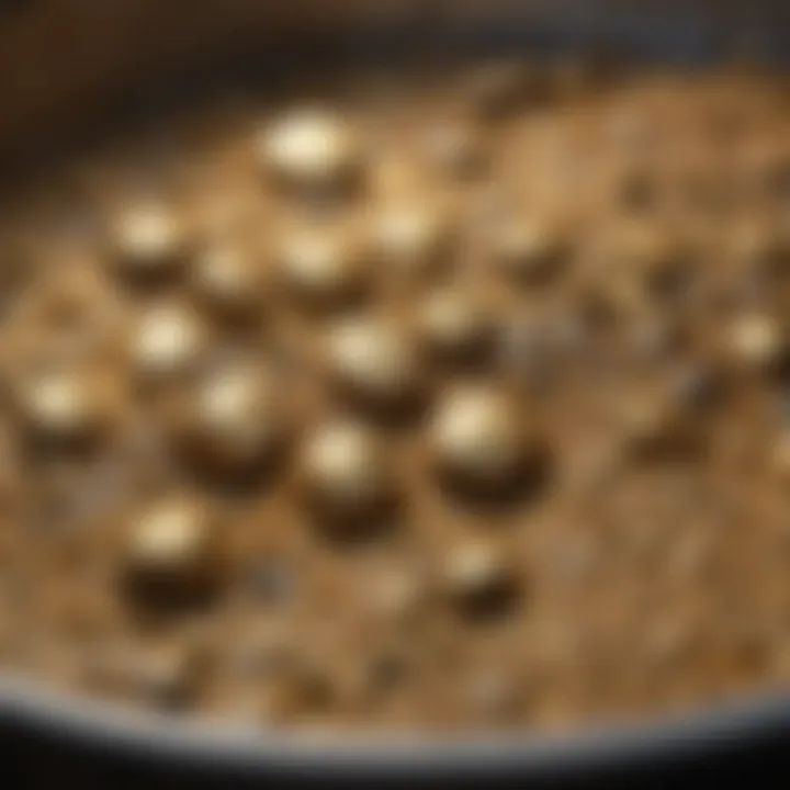 Close-up of gold flecks in a pan