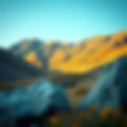A serene local landscape ideal for gold prospecting