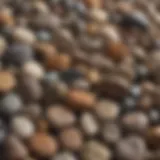Close-up view of various rock types