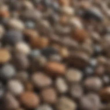 Close-up view of various rock types
