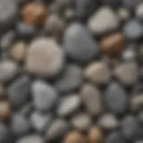 Different types of gray rocks showcasing mineral composition
