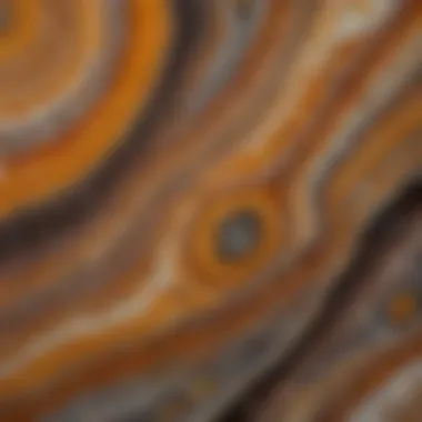 A close-up view of Kentucky agate showcasing its intricate patterns and colors