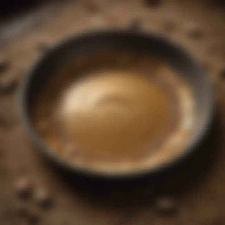 A close-up view of a gold pan filled with pay dirt