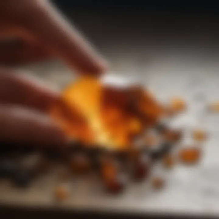 A collector examining amber specimens under natural light