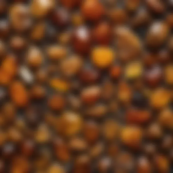 Display of various types of amber with geological features
