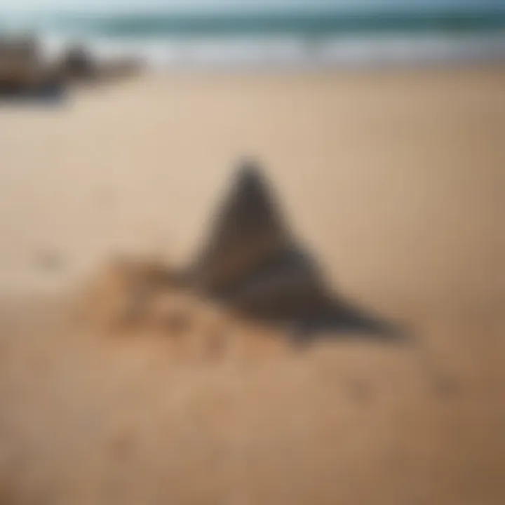 A scenic beach with fossilized shark teeth partially buried in the sand.