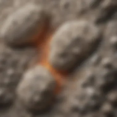 Close-up view of pumice rock texture highlighting its porous structure