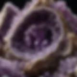 Close-up view of a raw amethyst geode showcasing its natural crystal formations