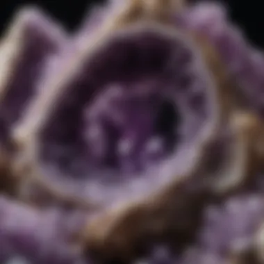 Close-up view of a raw amethyst geode showcasing its natural crystal formations