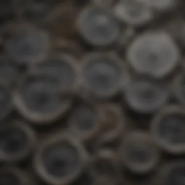 Display of different gauges and types of Rio Grande Sterling Silver Wire