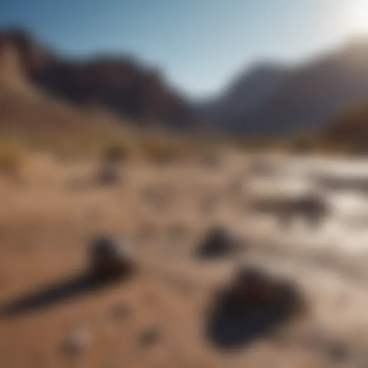 A scenic view of a meteorite recovery site in a desert landscape