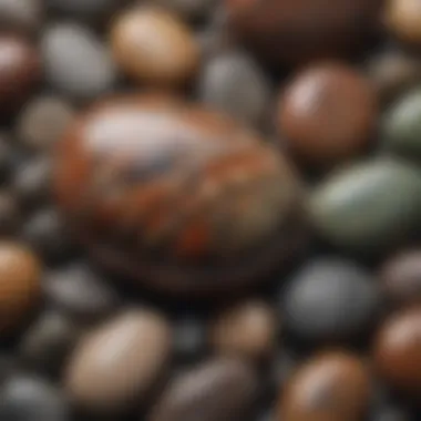 Close-up view of a single polished pebble revealing intricate patterns