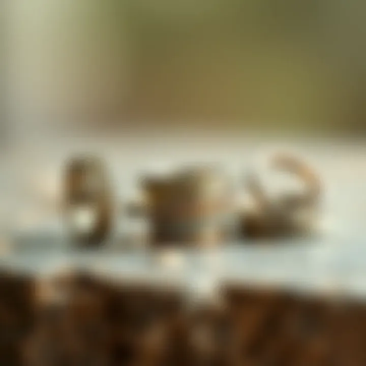 A selection of finished rings made from different wires, demonstrating the outcome of varied materials.