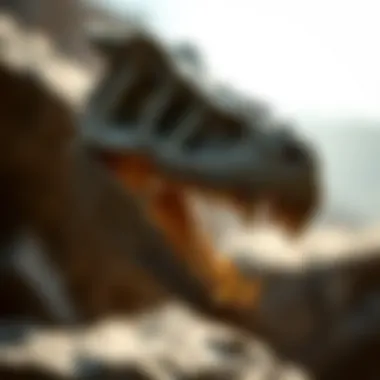 Exploring the Authentic Velociraptor Claw Introduction