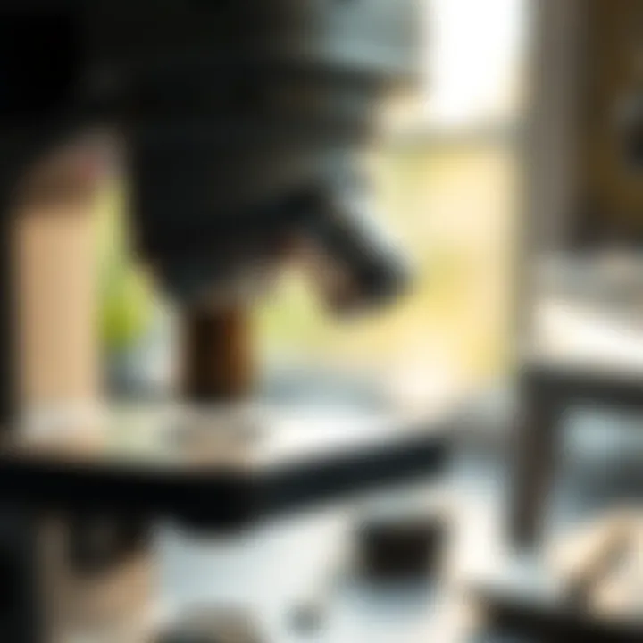 High-Quality Field Microscope Close-up of a high-quality field microscope in natural light