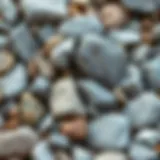 A collage of various types of backyard rocks showcasing their textures and colors