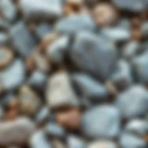 A collage of various types of backyard rocks showcasing their textures and colors