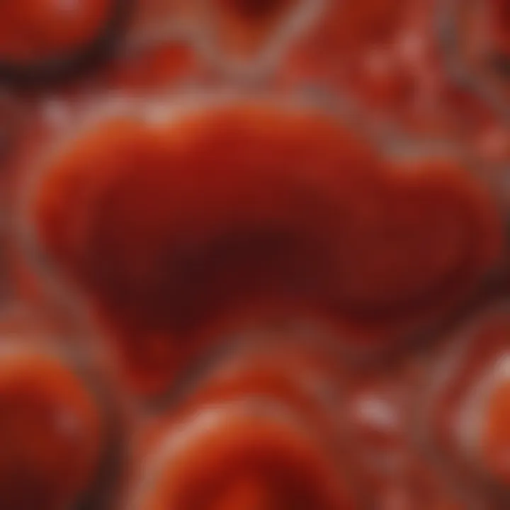 Close-up view of polished red agate showcasing its vibrant patterns