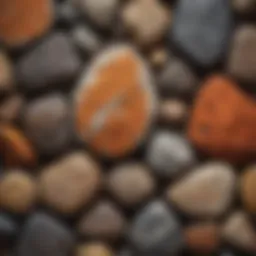 An intricate display of igneous rocks, showcasing their unique textures and colors
