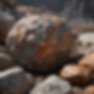 A striking metamorphic rock formation, illustrating foliation and mineral composition