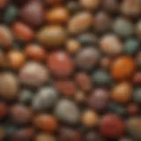 A vivid collection of different jasper types showcasing their unique patterns and colors.