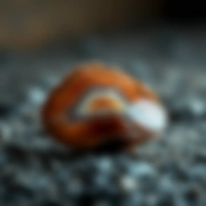 Exploring the Diverse World of Agate: Types and Characteristics Summary