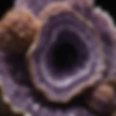 Intricate Crystal Formations of a Large Amethyst Geode A stunning large amethyst geode showcasing intricate crystal formations.