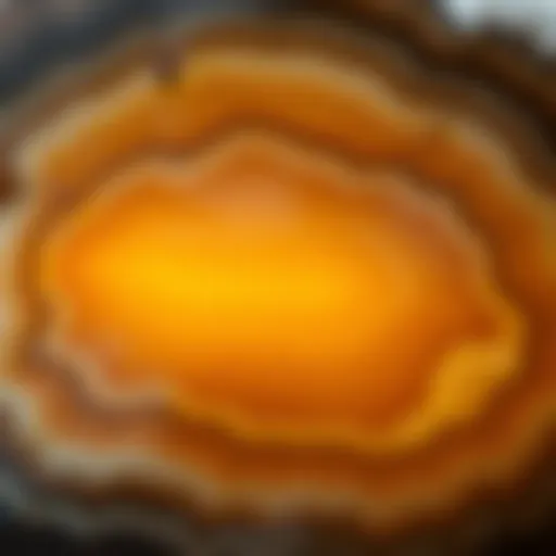 Intricate Patterns of Picture Agate A close-up view of picture agate showcasing its intricate landscape-like patterns