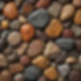 A stunning collection of igneous rocks showcasing various textures and colors