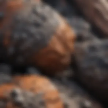 Close-up view of volcanic rock highlighting its unique formation