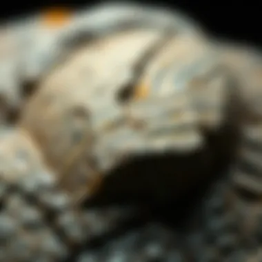 Meteor Fragment Textures Close-up of a meteor fragment showcasing its unique texture and color