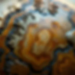 A close-up view of a septarian nodule showcasing its intricate patterns and textures.