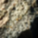 Close-up view of granite showcasing mineral grains