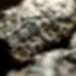 A stunning close-up of a meteorite showcasing its unique surface textures and features.