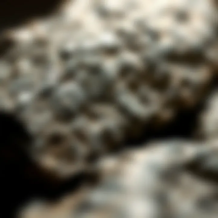 Unique Surface Textures of Meteorites A stunning close-up of a meteorite showcasing its unique surface textures and features.