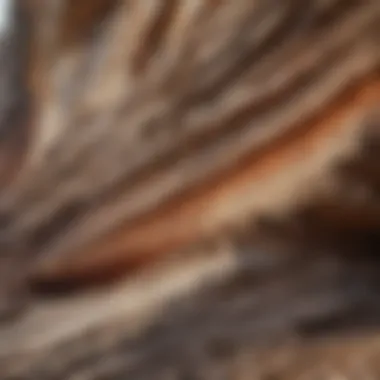 Sedimentary Layers in Missouri Sedimentary rock layers revealing ancient geological history