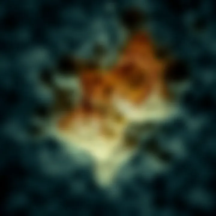 Microscopic image revealing the texture of a rock formation